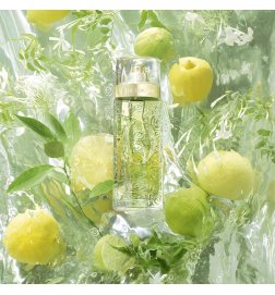 Ô de Lancôme - Eau de Toilette Ô de Lancôme - Eau de Toilette